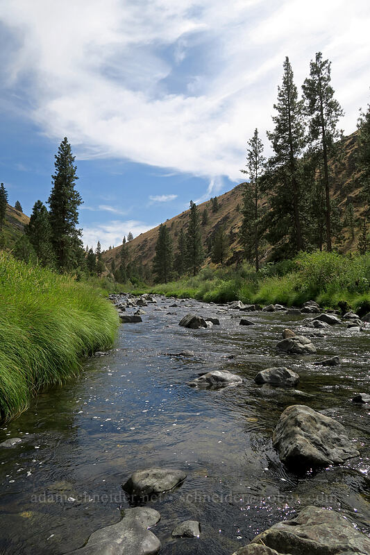 Middle Fork John Day River [Ritter Road, Grant County, Oregon]
