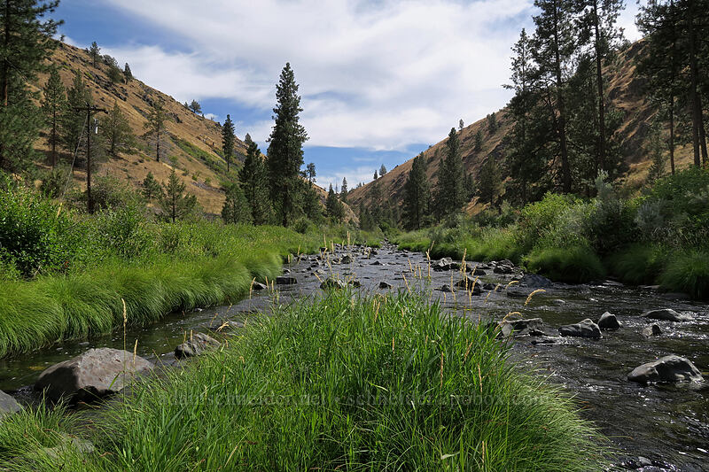 Middle Fork John Day River [Ritter Road, Grant County, Oregon]