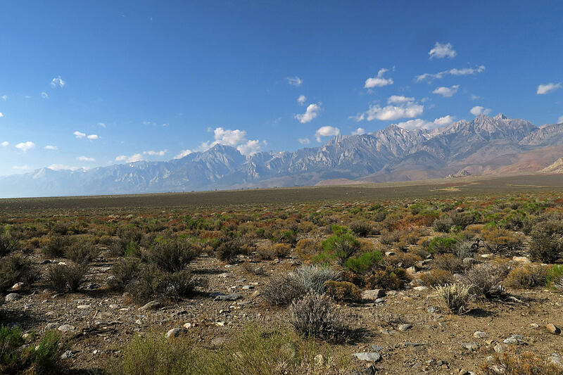 Mt. Williamson, Mt. Bradley, & University Peak [Fish Hatchery Road, Fort Independence, Inyo County, California]