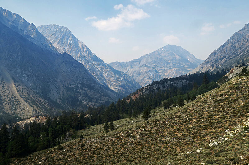 Lee Vining Canyon [Tioga Road, Inyo National Forest, Mono County, California]