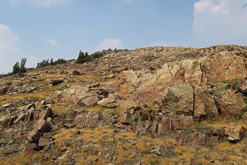 route to the summit of Gaylor Peak [Gaylor Peak, Yosemite National Park, Mono County, California]