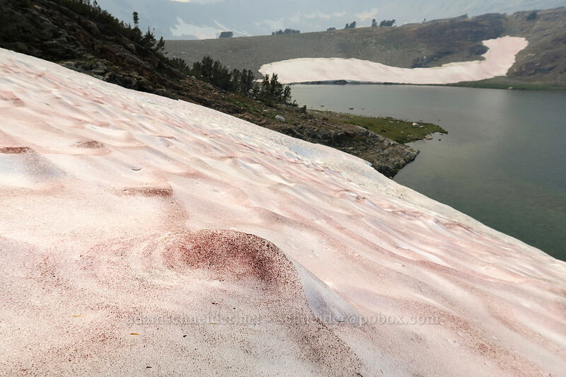 rusty rings on the snow [Gaylor Peak, Yosemite National Park, Tuolumne County, California]