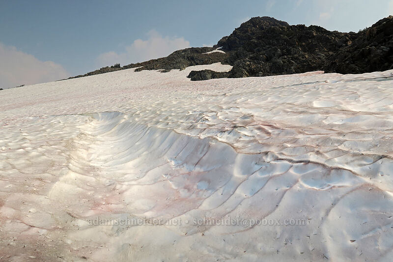 snowfield [Gaylor Peak, Yosemite National Park, Tuolumne County, California]