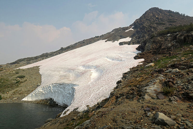 snowfield & Gaylor Peak [Upper Gaylor Lake, Yosemite National Park, Tuolumne County, California]