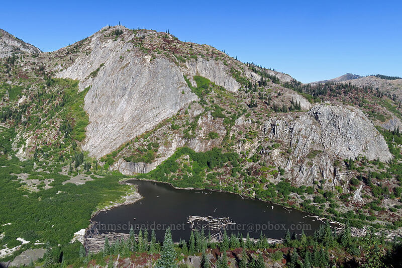 Grizzly Lake [Lakes Trail, Mt. St. Helens National Volcanic Monument, Skamania County, Washington]