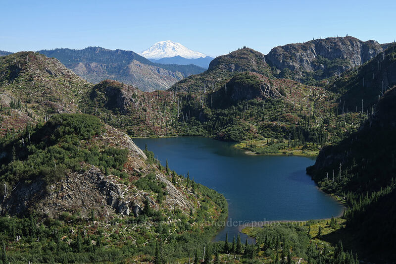 Panhandle Lake [Lakes Trail, Mt. St. Helens National Volcanic Monument, Skamania County, Washington]