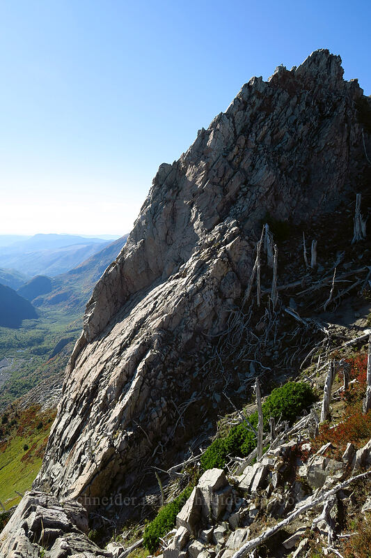 Mt. Whittier's south face [Whittier Trail, Mt. St. Helens National Volcanic Monument, Skamania County, Washington]