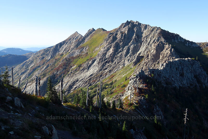 Whittier Ridge [Whittier Trail, Mt. St. Helens National Volcanic Monument, Skamania County, Washington]