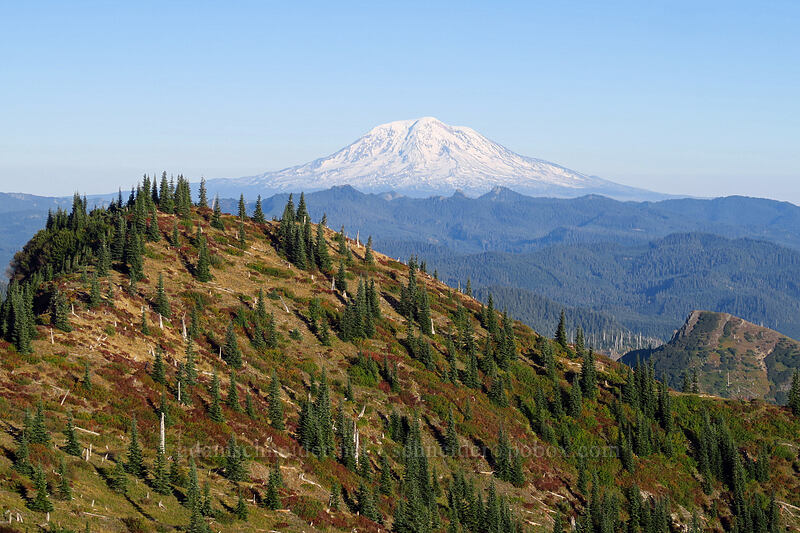 Mount Adams & Bear Pass [Boundary Trail, Mt. St. Helens National Volcanic Monument, Skamania County, Washington]