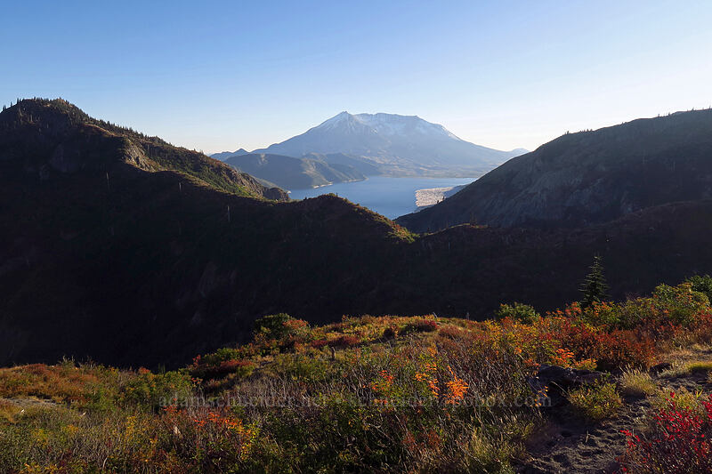 Mount St. Helens & Spirit Lake [Boundary Trail, Mt. St. Helens National Volcanic Monument, Skamania County, Washington]