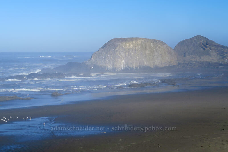 Elephant Rock [Little Creek Cove, Seal Rock, Lincoln County, Oregon]