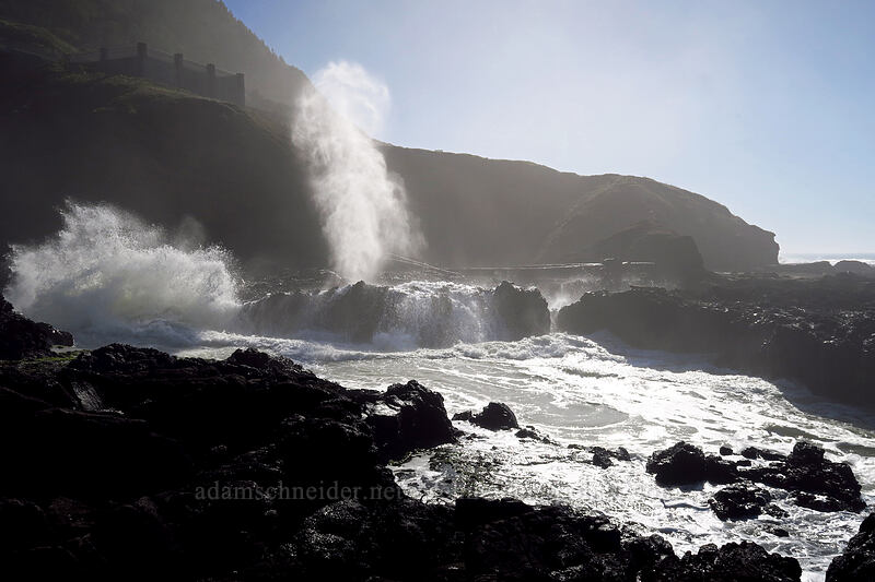 Spouting Horn & Cook's Chasm [Cape Perpetua Scenic Area, Siuslaw National Forest, Lincoln County, Oregon]