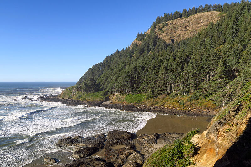 Cape Cove [Cape Cove Trail, Siuslaw National Forest, Lincoln County, Oregon]
