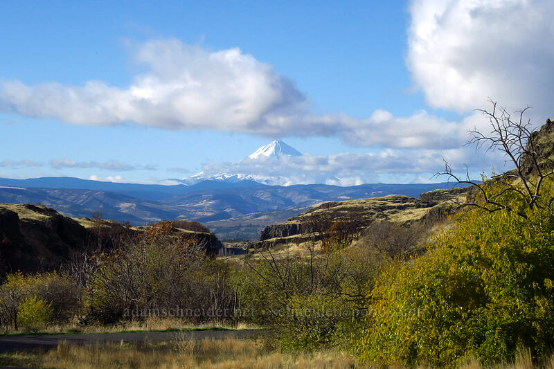 Mount Hood & clouds [Crawford Oaks Trailhead, Columbia Hills State Park, Klickitat County, Washington]