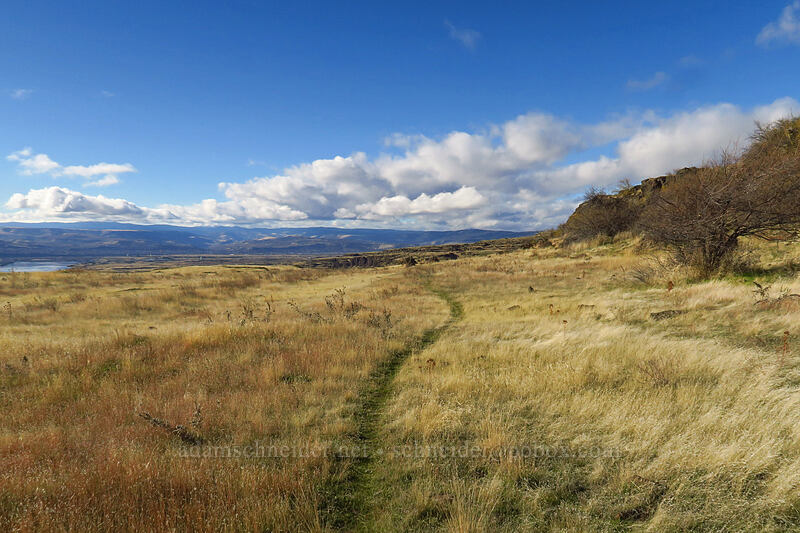 November trail [Crawford Ranch, Columbia Hills State Park, Klickitat County, Washington]