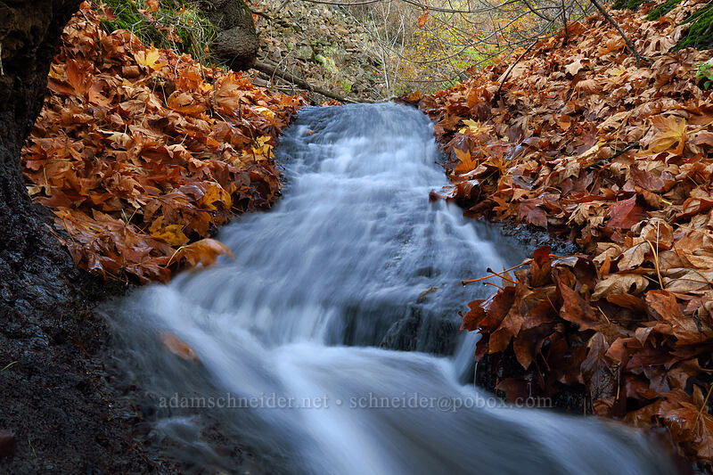Eightmile Creek [Crawford Ranch, Columbia Hills State Park, Klickitat County, Washington]
