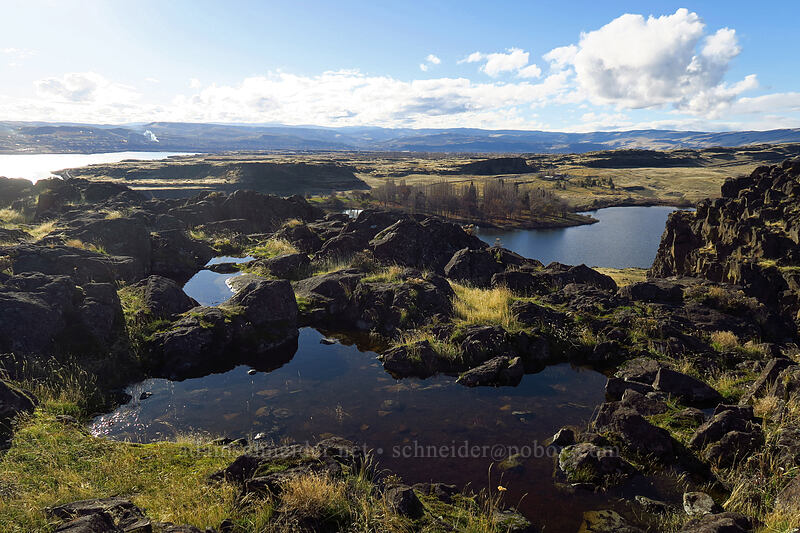 seasonal ponds/puddles [Horsethief Butte, Columbia Hills State Park, Klickitat County, Washington]