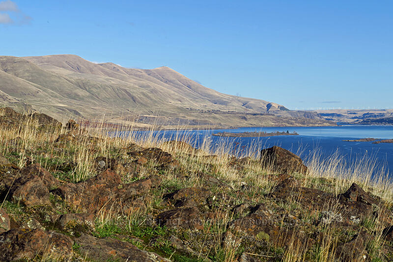 Haystack Butte & Columbia River [Horsethief Butte, Columbia Hills State Park, Klickitat County, Washington]