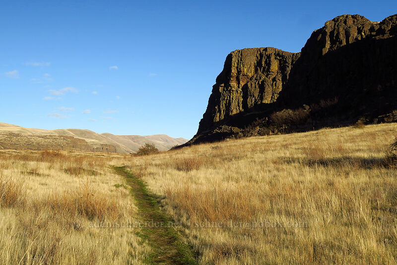 Horsethief Butte [Horsethief Butte, Columbia Hills State Park, Klickitat County, Washington]
