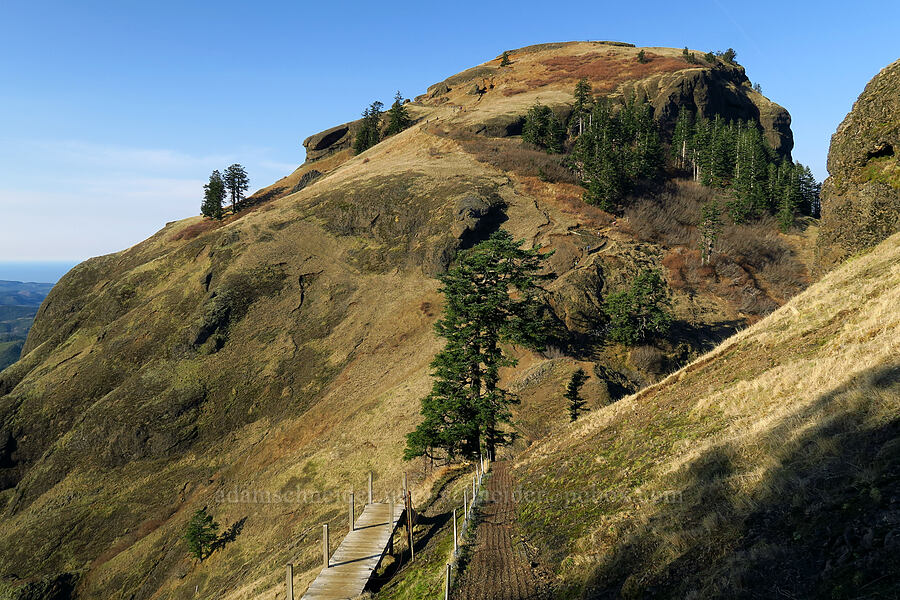 Saddle Mountain's summit [Saddle Mountain Trail, Saddle Mountain State Natural Area, Clatsop County, Oregon]