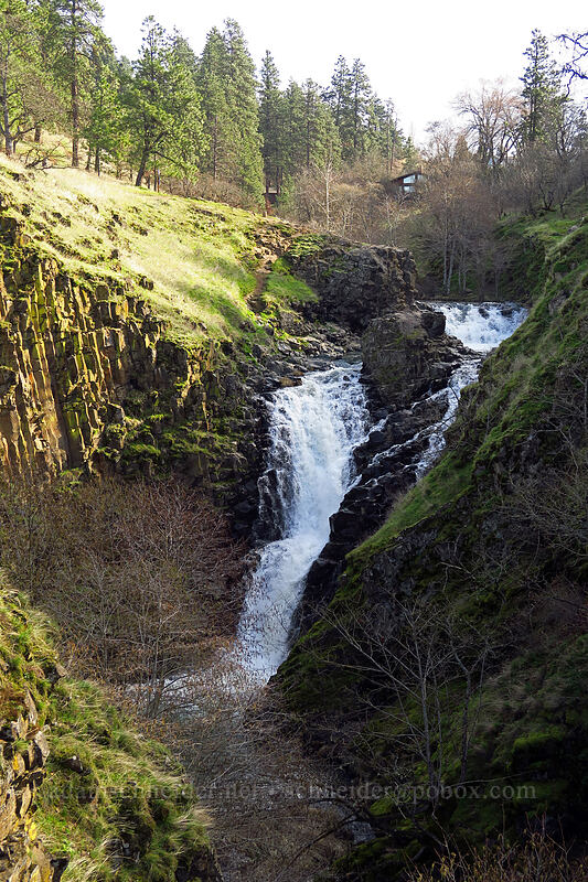 Mosier Creek Falls [Mosier Plateau Trail, Mosier, Wasco County, Oregon]