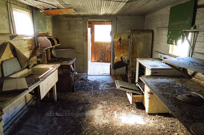 ghost of a kitchen [Old Railbed Trail, Deschutes River State Recreation Area, Sherman County, Oregon]