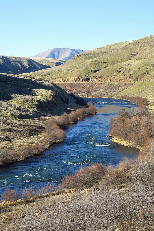 Deschutes River [Old Railbed Trail, Deschutes River State Recreation Area, Sherman County, Oregon]