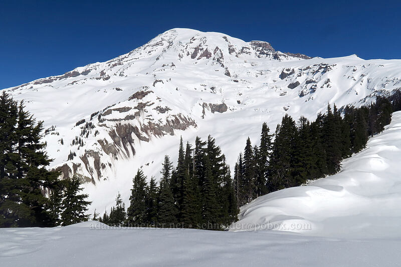 Mount Rainier [above Paradise, Mt. Rainier National Park, Pierce County, Washington]