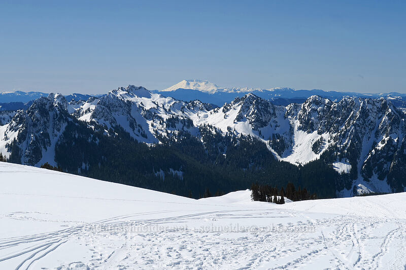 Mt. St. Helens & the Tatoosh Range [above Paradise, Mt. Rainier National Park, Pierce County, Washington]