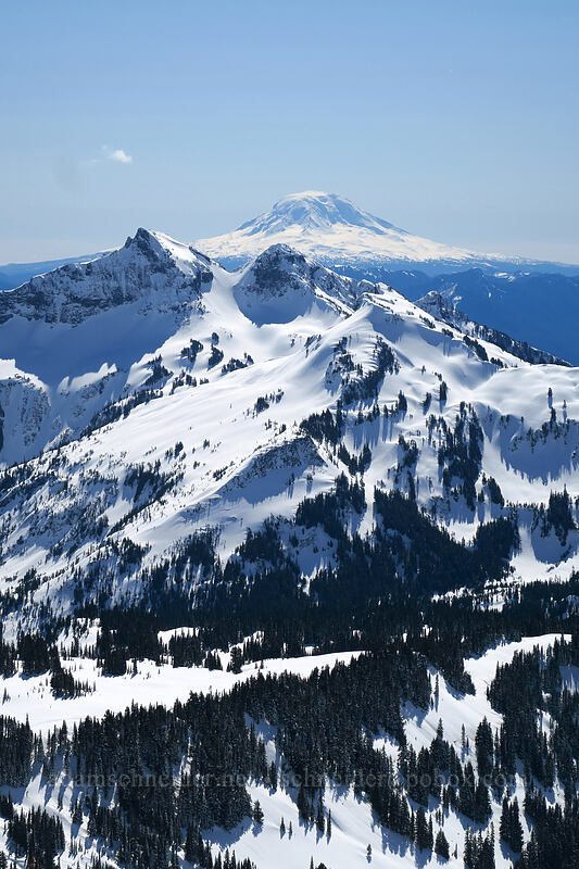 Mt. Adams & the Tatoosh Range [Panorama Point, Mt. Rainier National Park, Pierce County, Washington]