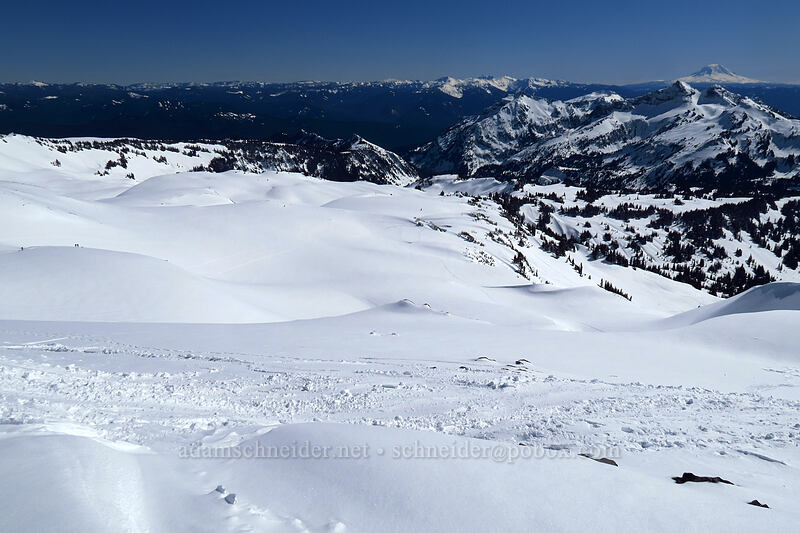 unbroken snow northeast of Paradise [Panorama Point, Mt. Rainier National Park, Pierce County, Washington]