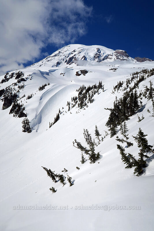 edge of Edith Creek Basin [above Paradise, Mt. Rainier National Park, Pierce County, Washington]