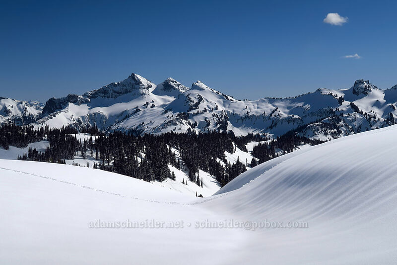 eastern Tatoosh Range [above Paradise, Mt. Rainier National Park, Pierce County, Washington]