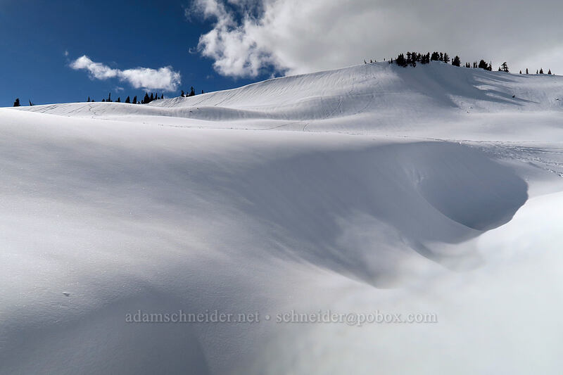 snow bridges above Edith Creek [Paradise, Mt. Rainier National Park, Pierce County, Washington]