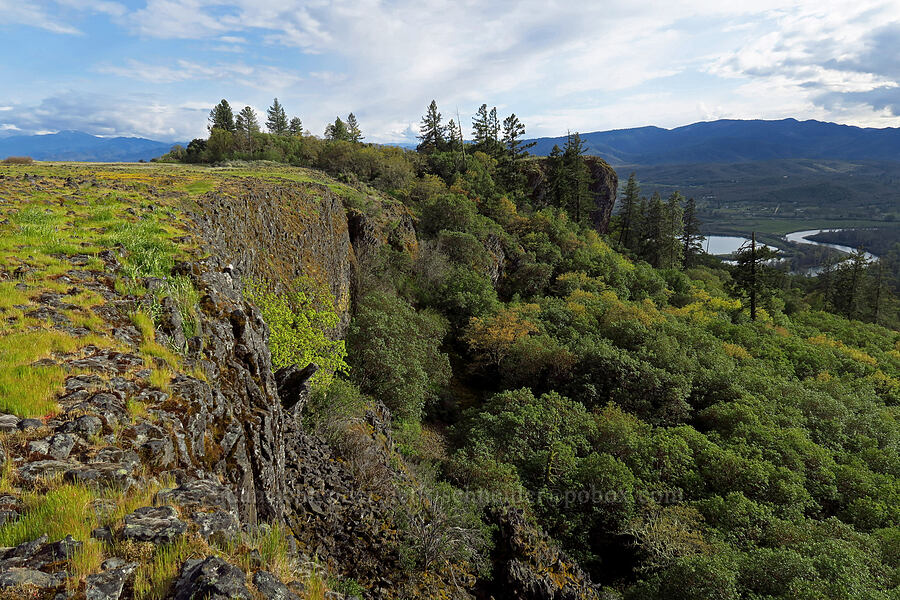 basalt cliffs [Lower Table Rock, Jackson County, Oregon]