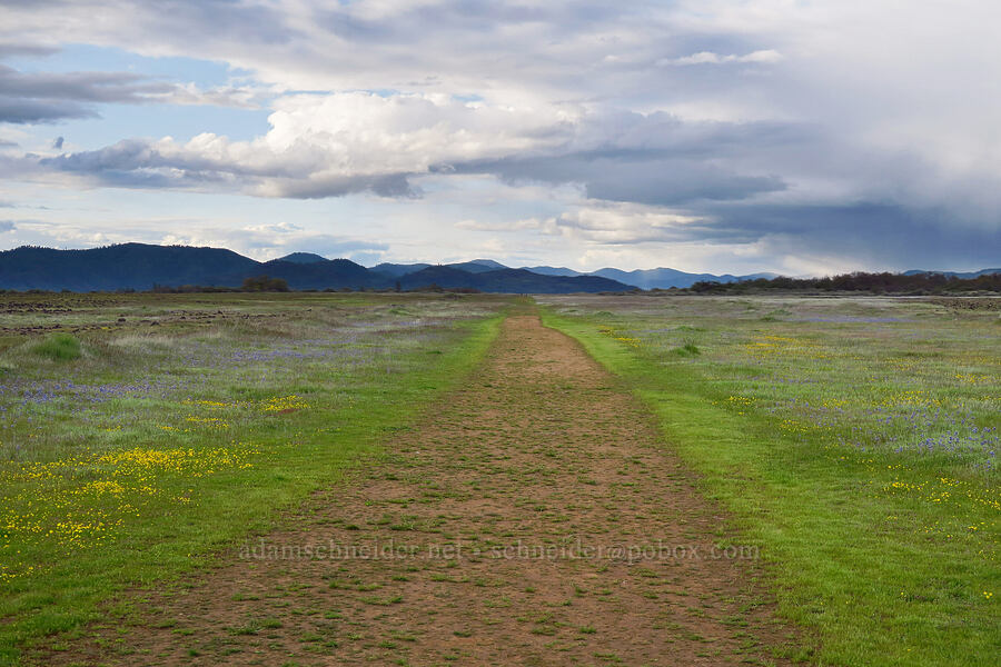former runway [Lower Table Rock, Jackson County, Oregon]