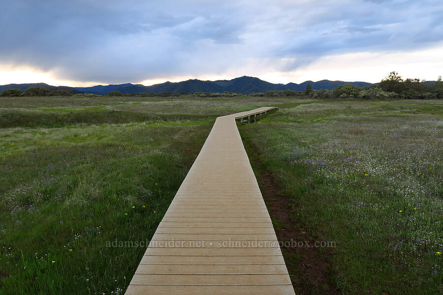 boardwalk [Lower Table Rock, Jackson County, Oregon]