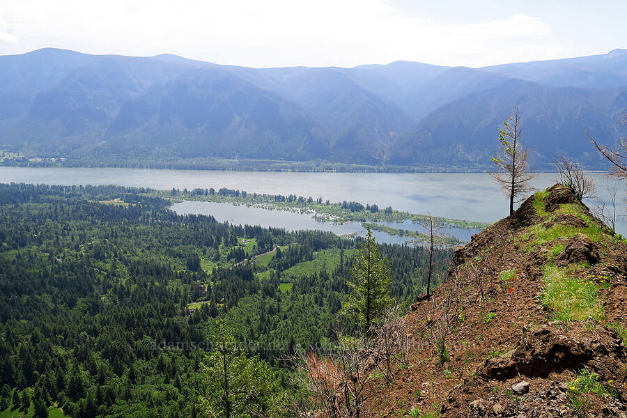 viewpoint [Arrow Point, Gifford Pinchot National Forest, Skamania County, Washington]