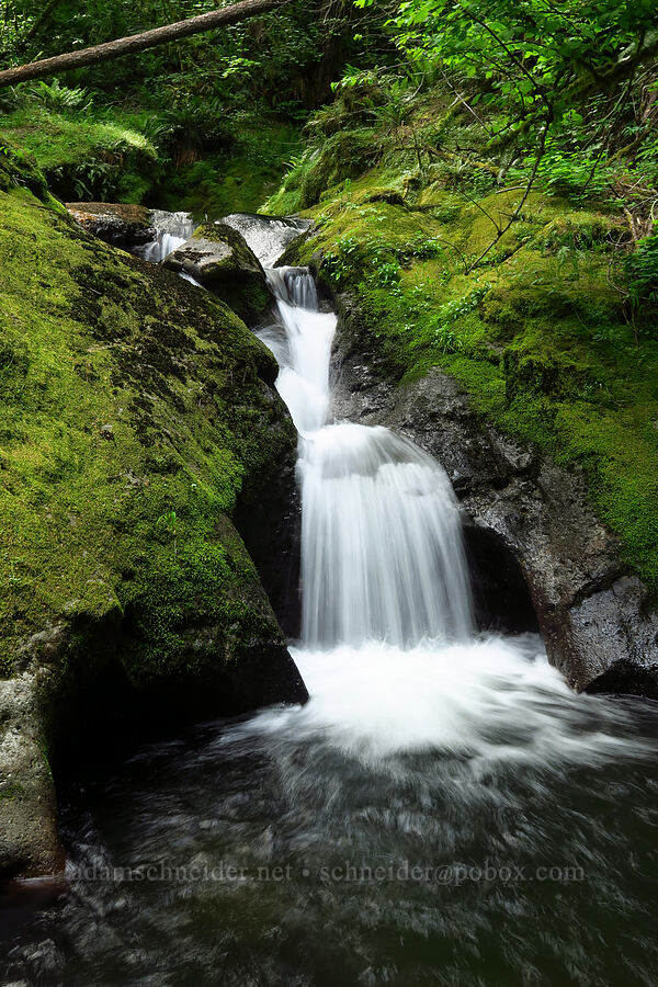 Duncan Creek Falls [Nellie Corser Wildlife Area, Skamania County, Washington]
