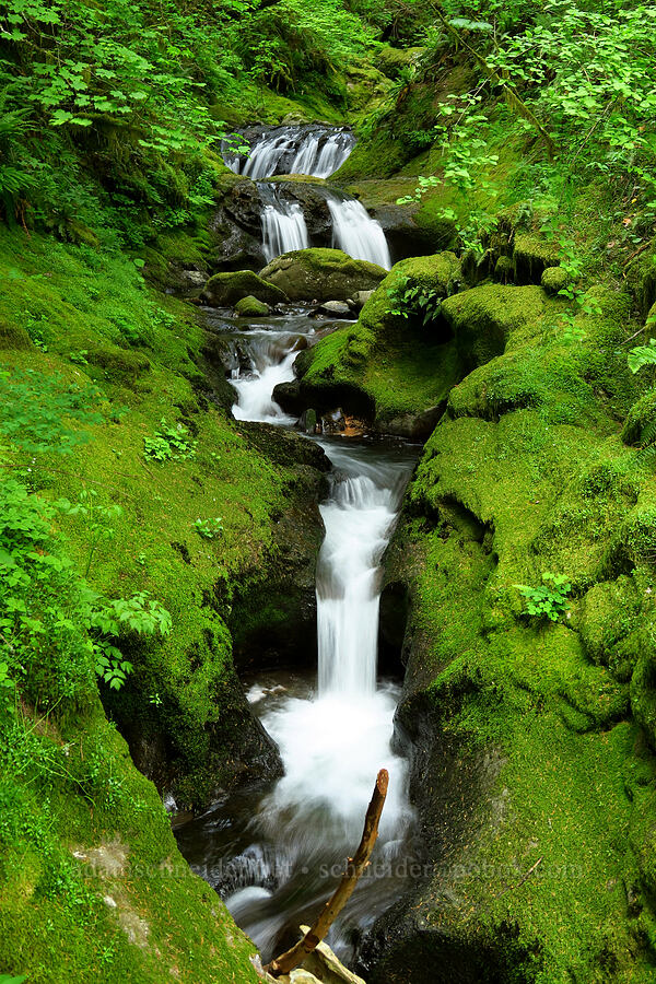 Duncan Creek Falls [Nellie Corser Wildlife Area, Skamania County, Washington]