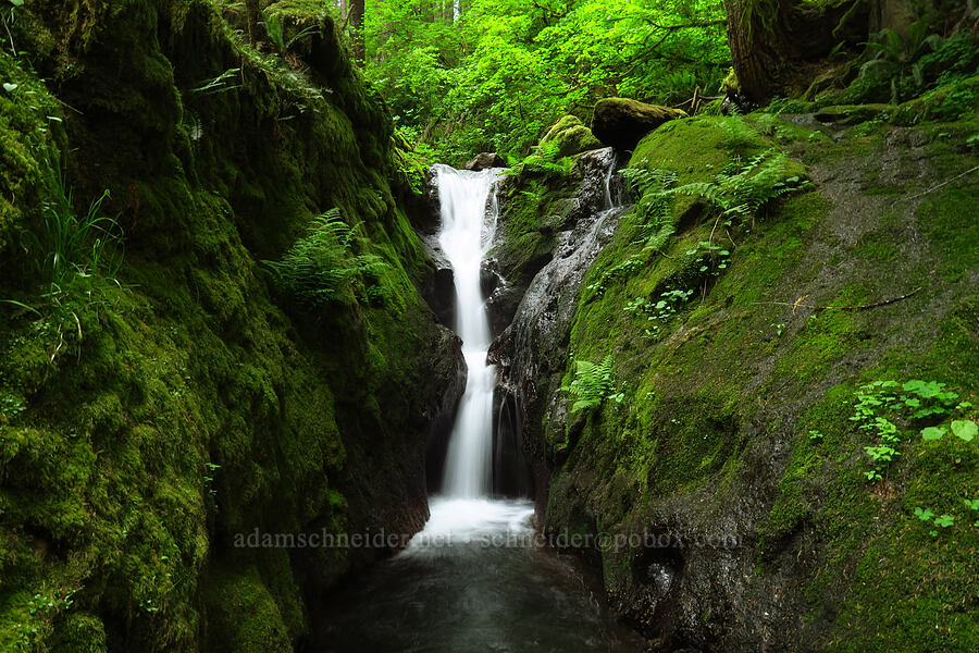 Duncan Creek Falls [Nellie Corser Wildlife Area, Skamania County, Washington]