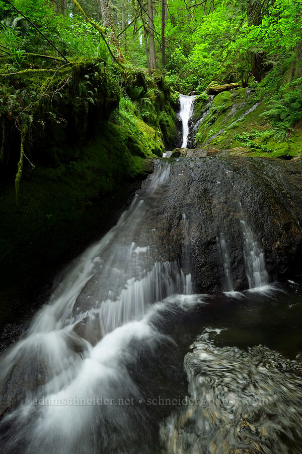 Duncan Creek Falls [Nellie Corser Wildlife Area, Skamania County, Washington]