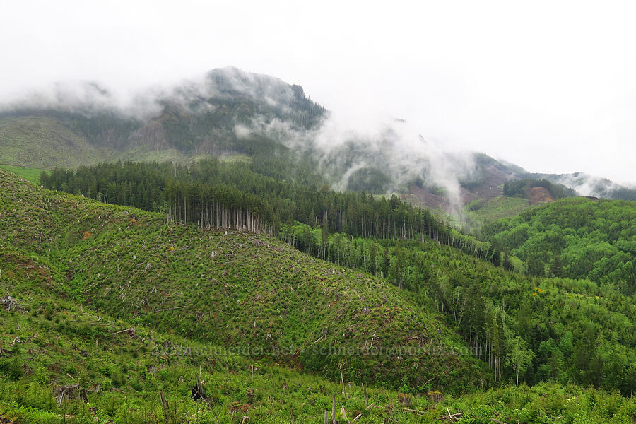 Angora Peak, half-hidden by clouds [Angora Peak logging roads, Tillamook County, Oregon]