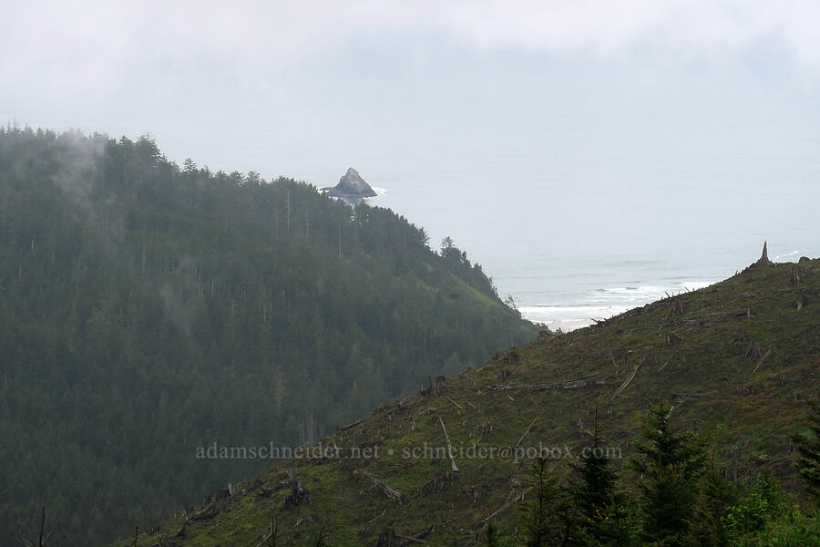 Castle Rock [Arch Cape Mill Road, Clatsop County, Oregon]