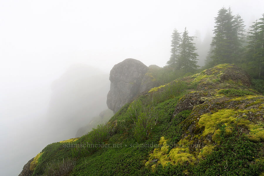 east side of Angora Peak [Angora Peak summit, Clatsop County, Oregon]
