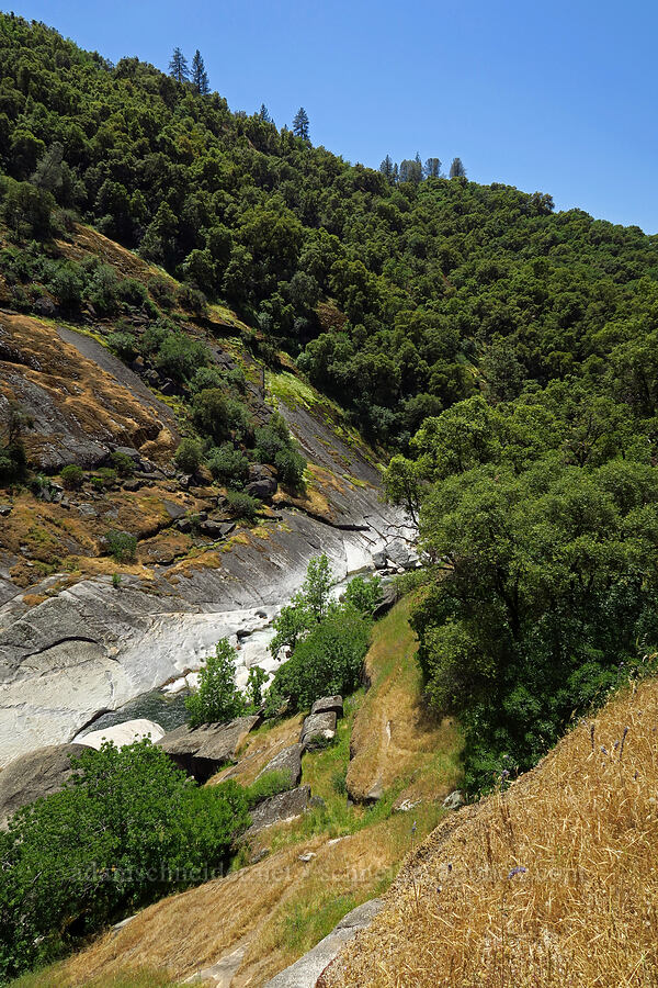 Cosumnes River [Cosumnes River Gorge, El Dorado County, California]