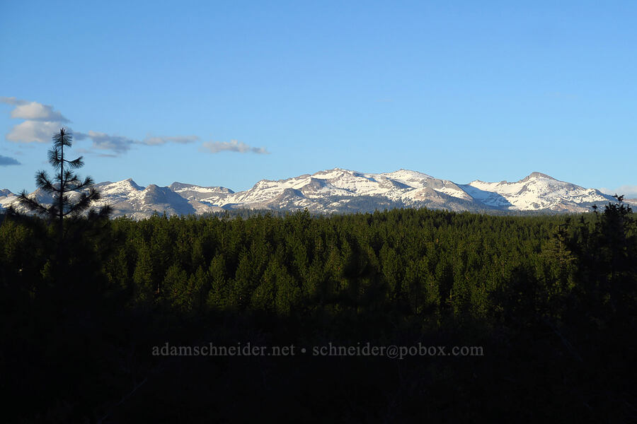 Crystal Range [Peavine Ridge, Eldorado National Forest, El Dorado County, California]