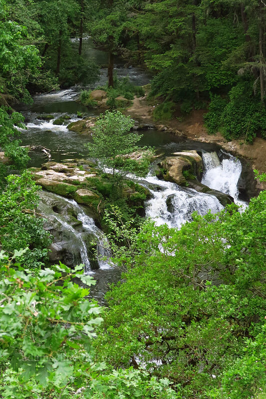 Pothole Falls [Lacamas Park, Camas, Clark County, Washington]