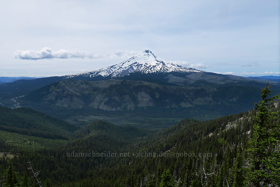 Mount Hood [High Prairie Trail, Mt. Hood National Forest, Hood River County, Oregon]