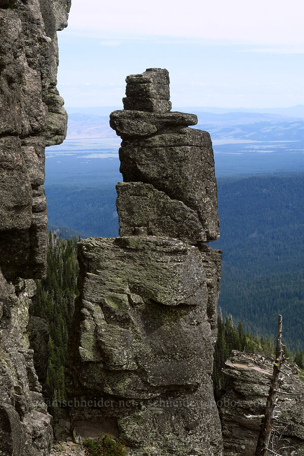 hoodoo [Lookout Mountain, Mt. Hood National Forest, Hood River County, Oregon]